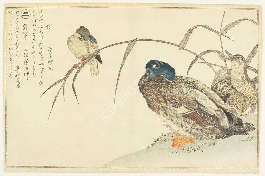 japanese vintage animals1088.webp