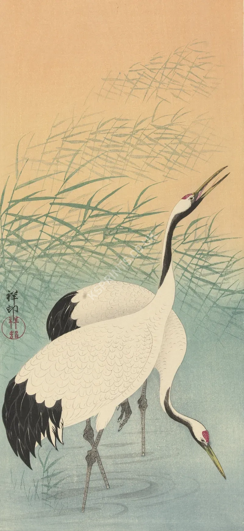 japanese vintage animals1108.webp