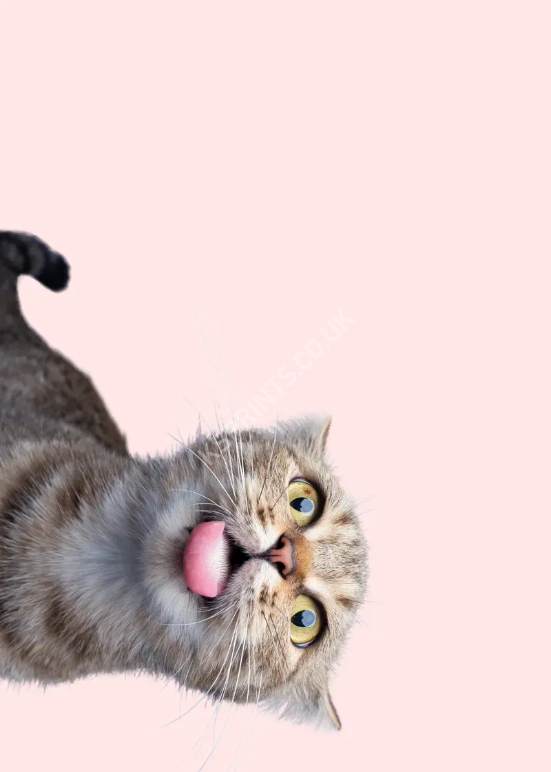 maximalist animals1155.webp