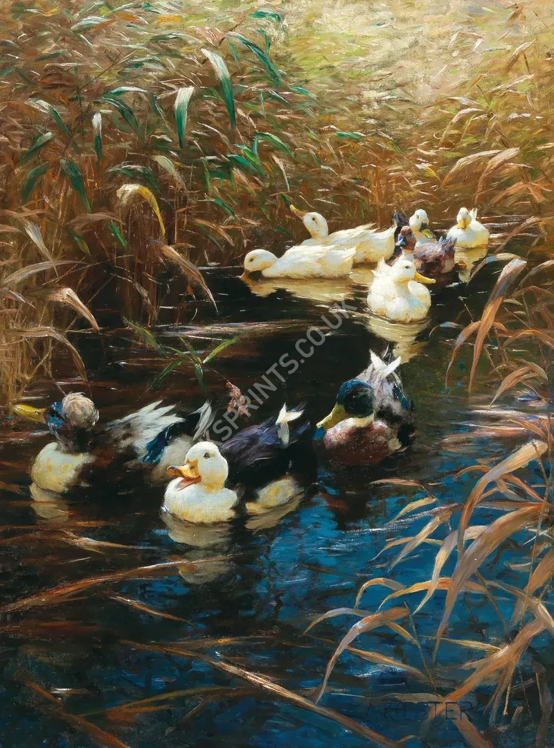 vintage animals0058.webp