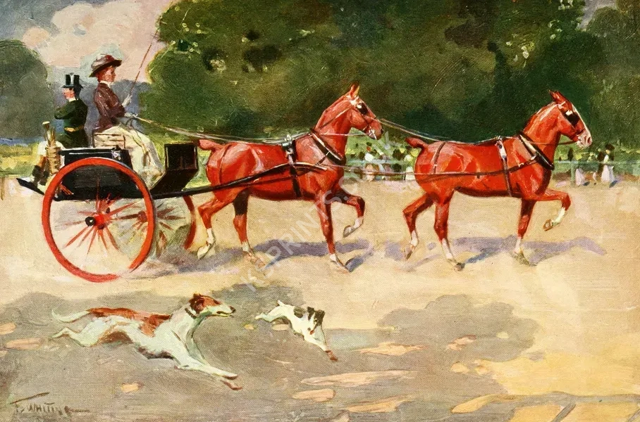 vintage animals1293.webp