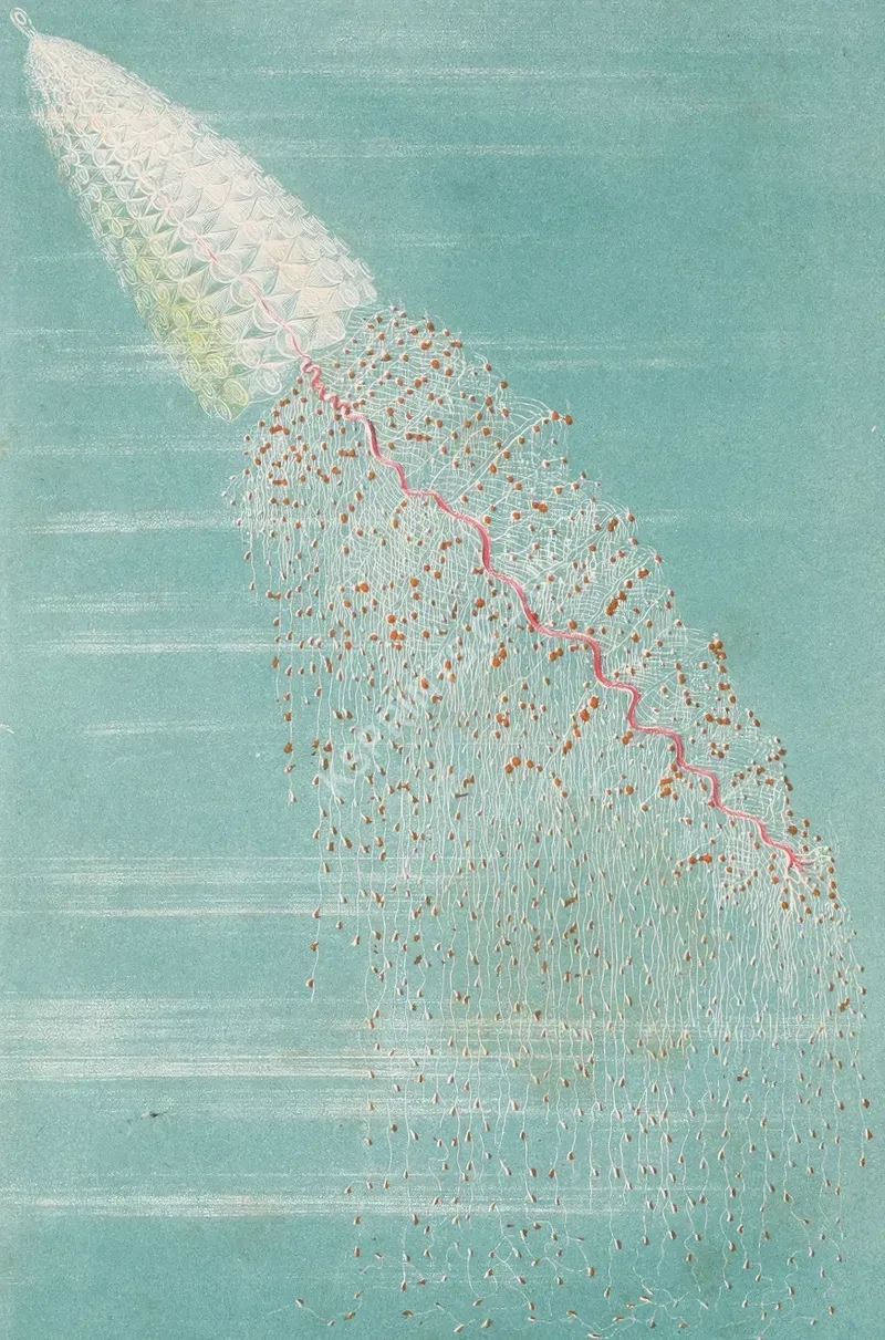 vintage animals1300.webp