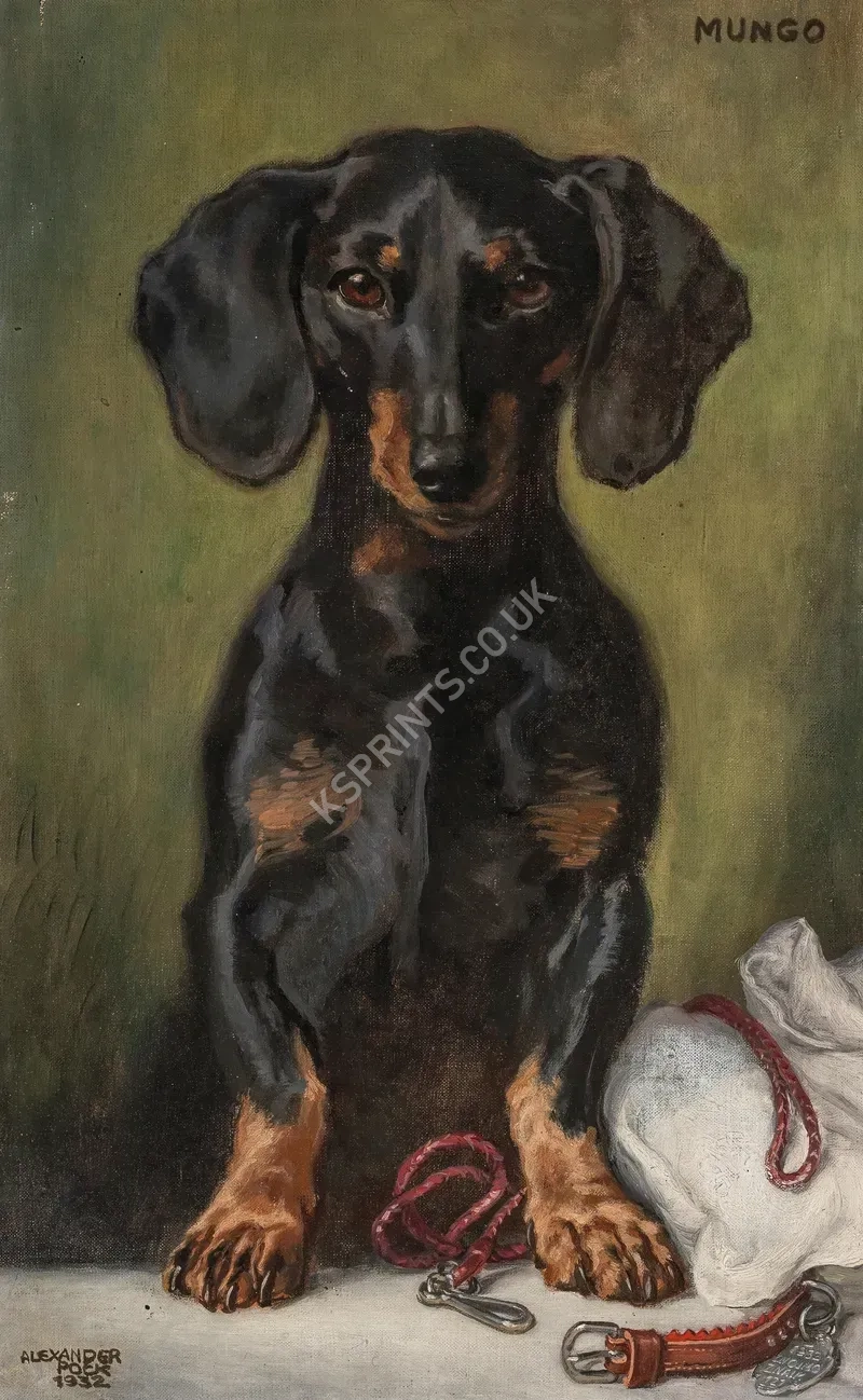 vintage animals1328.webp