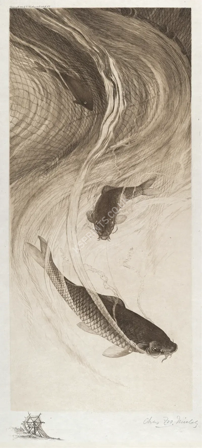 vintage animals1383.webp