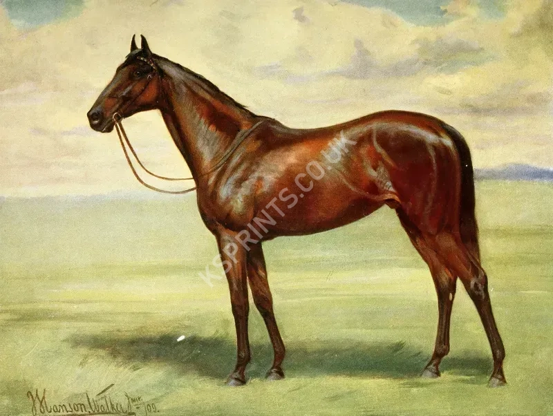 vintage animals1403.webp