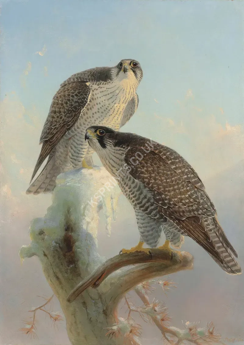 vintage animals1407.webp