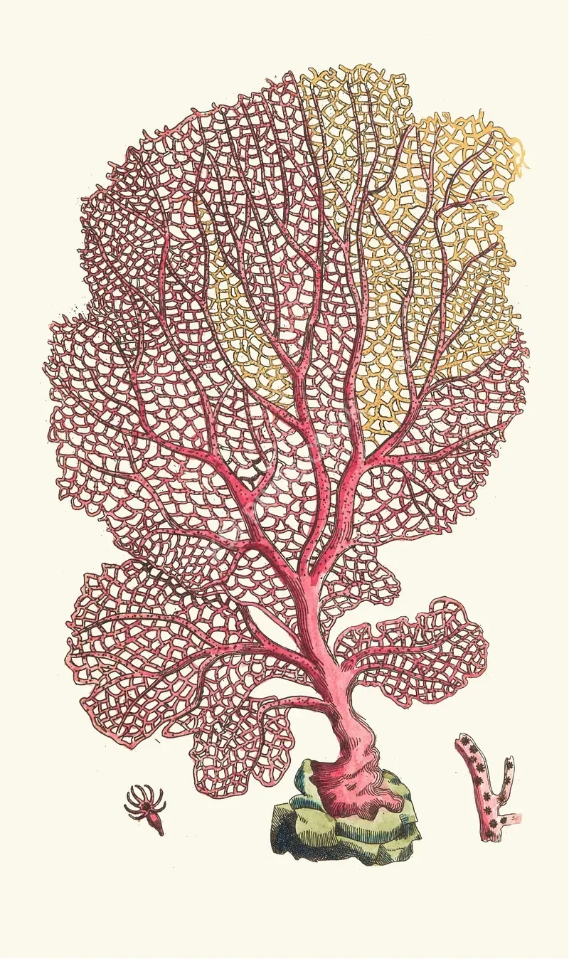 vintage animals1448.webp