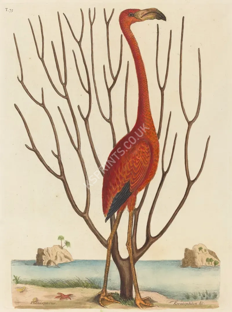 vintage animals1449.webp