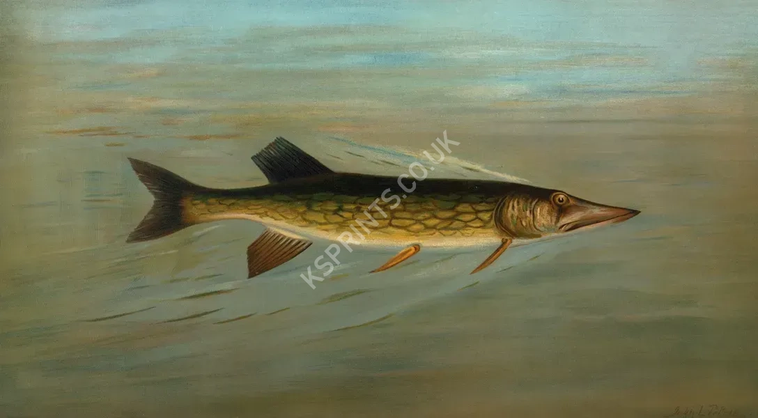 vintage animals1452.webp