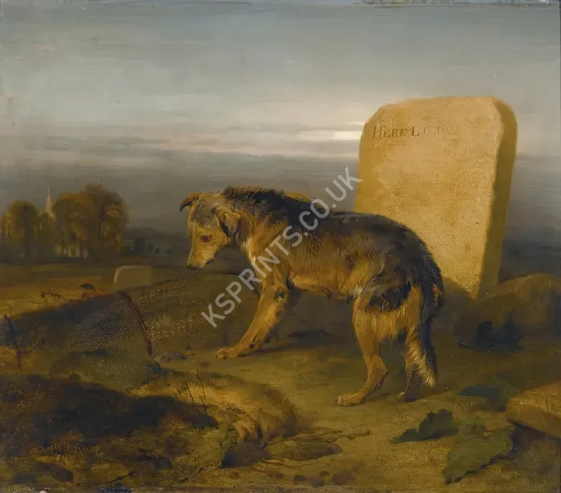 vintage animals1462.webp