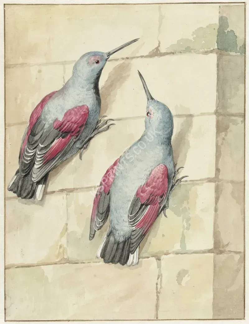 vintage animals1470.webp