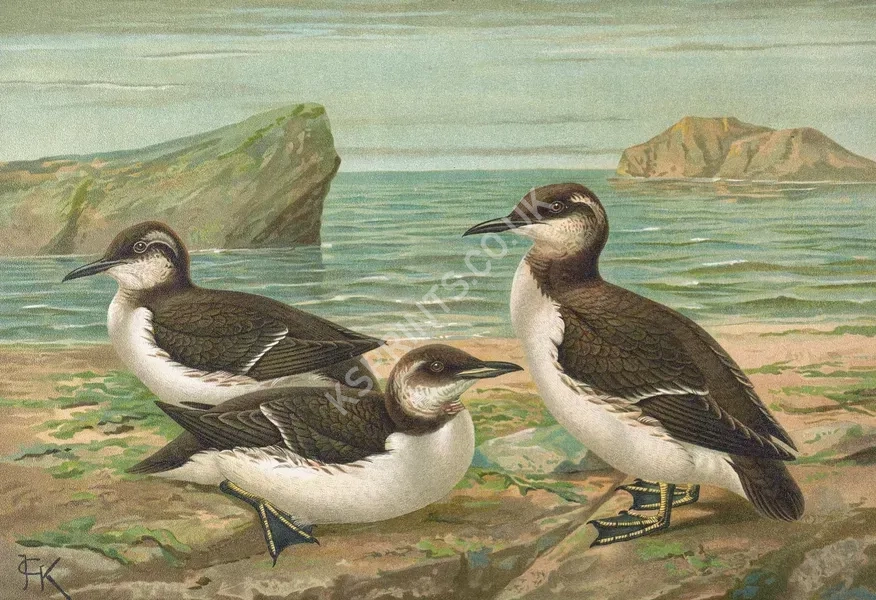 vintage animals1473.webp