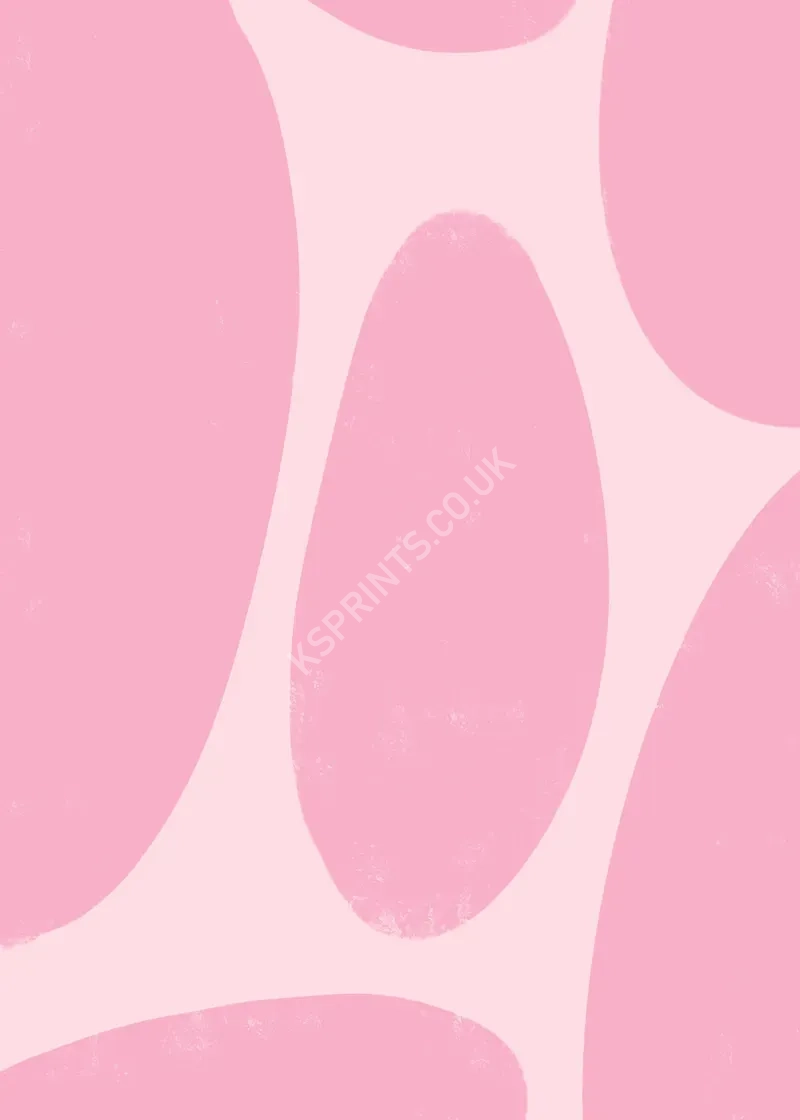 maximalist vol.2 thp2471.webp