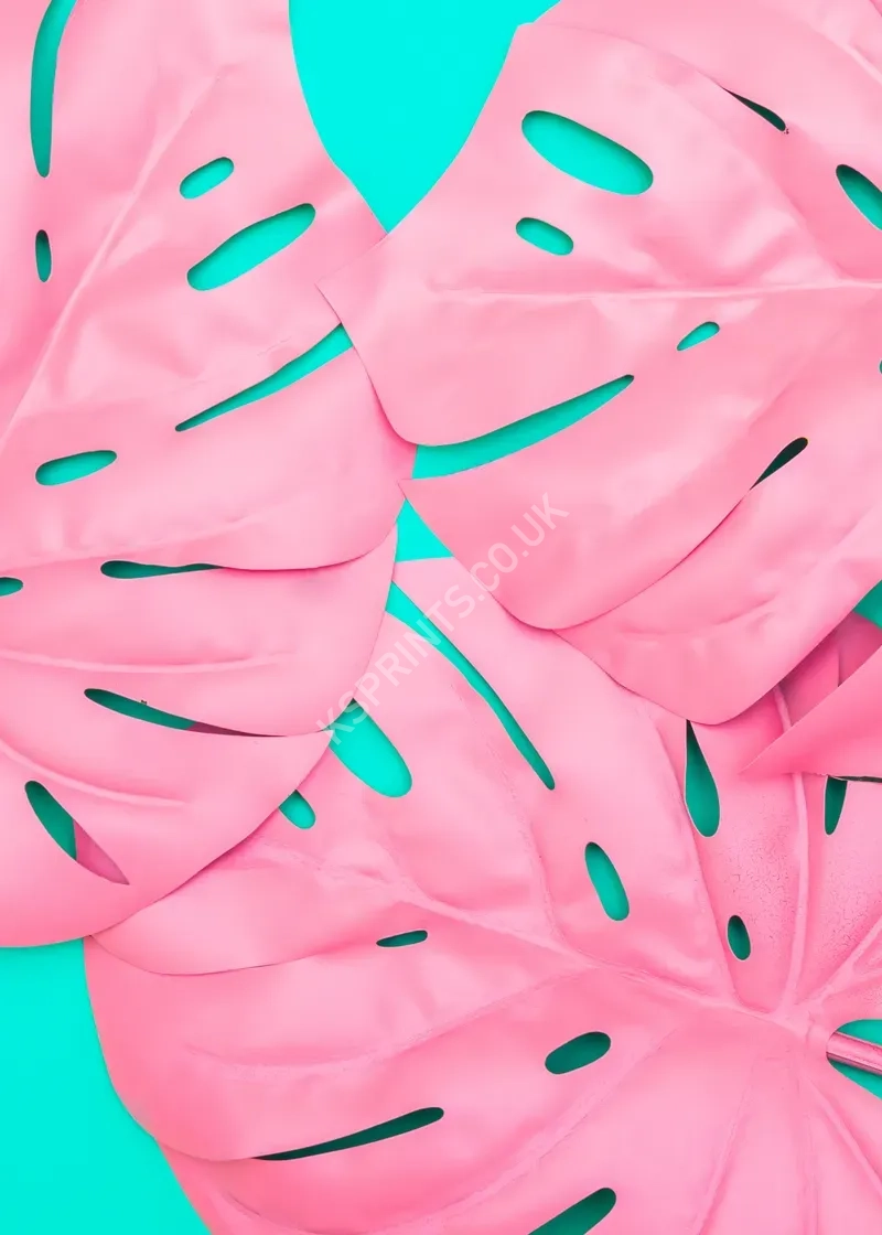 maximalist vol.2 thp2517.webp