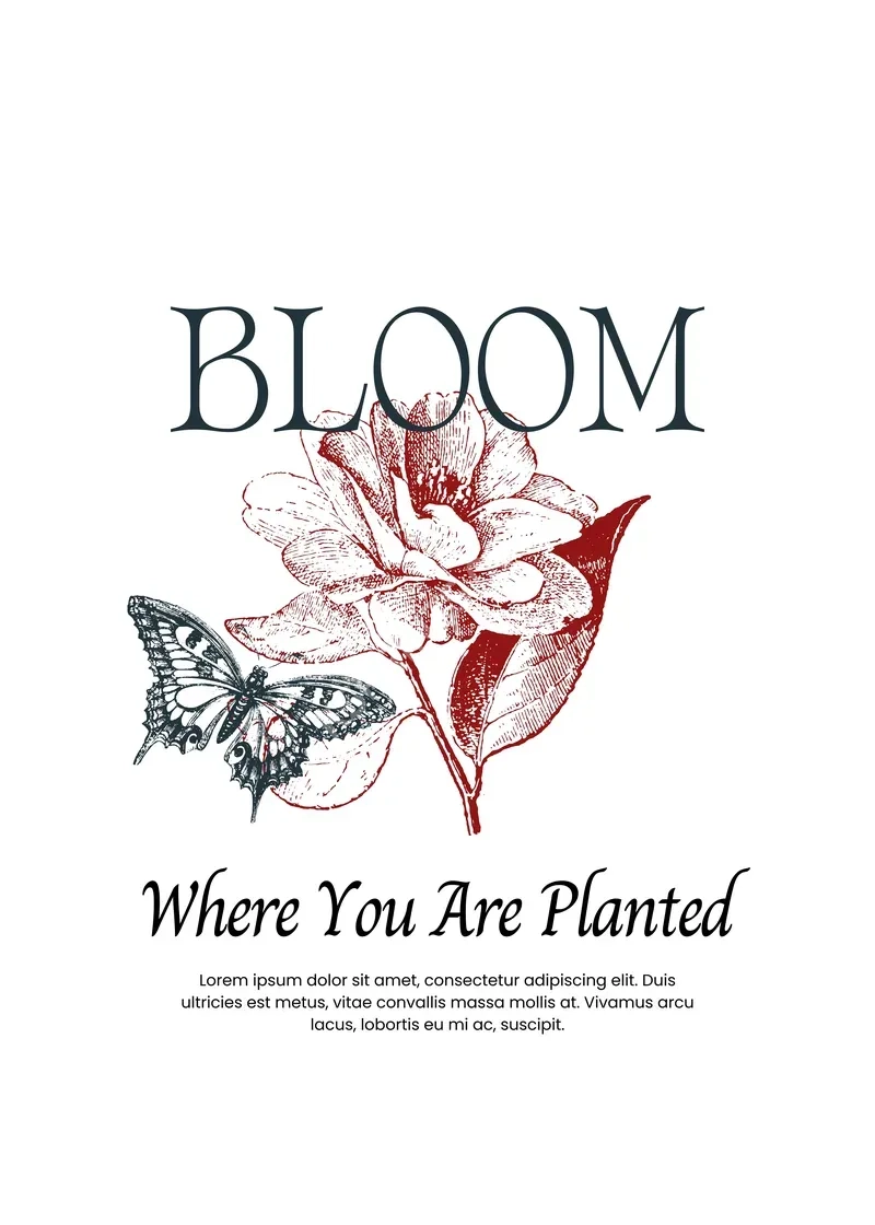 maximalist vol.2 thp2521.webp