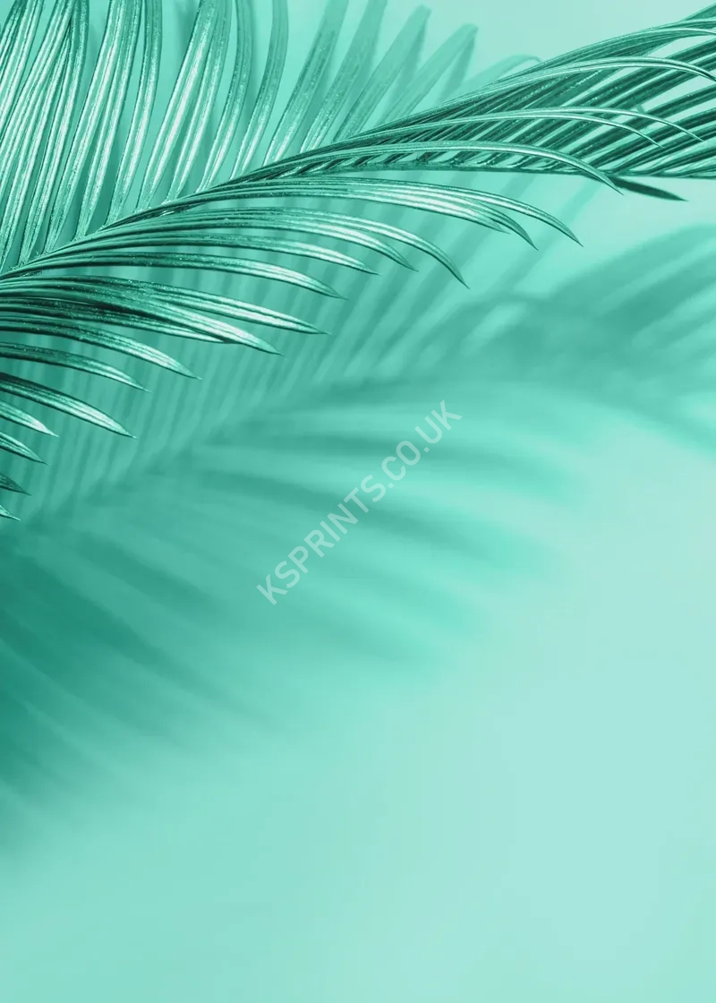 maximalist vol.2 thp2571.webp