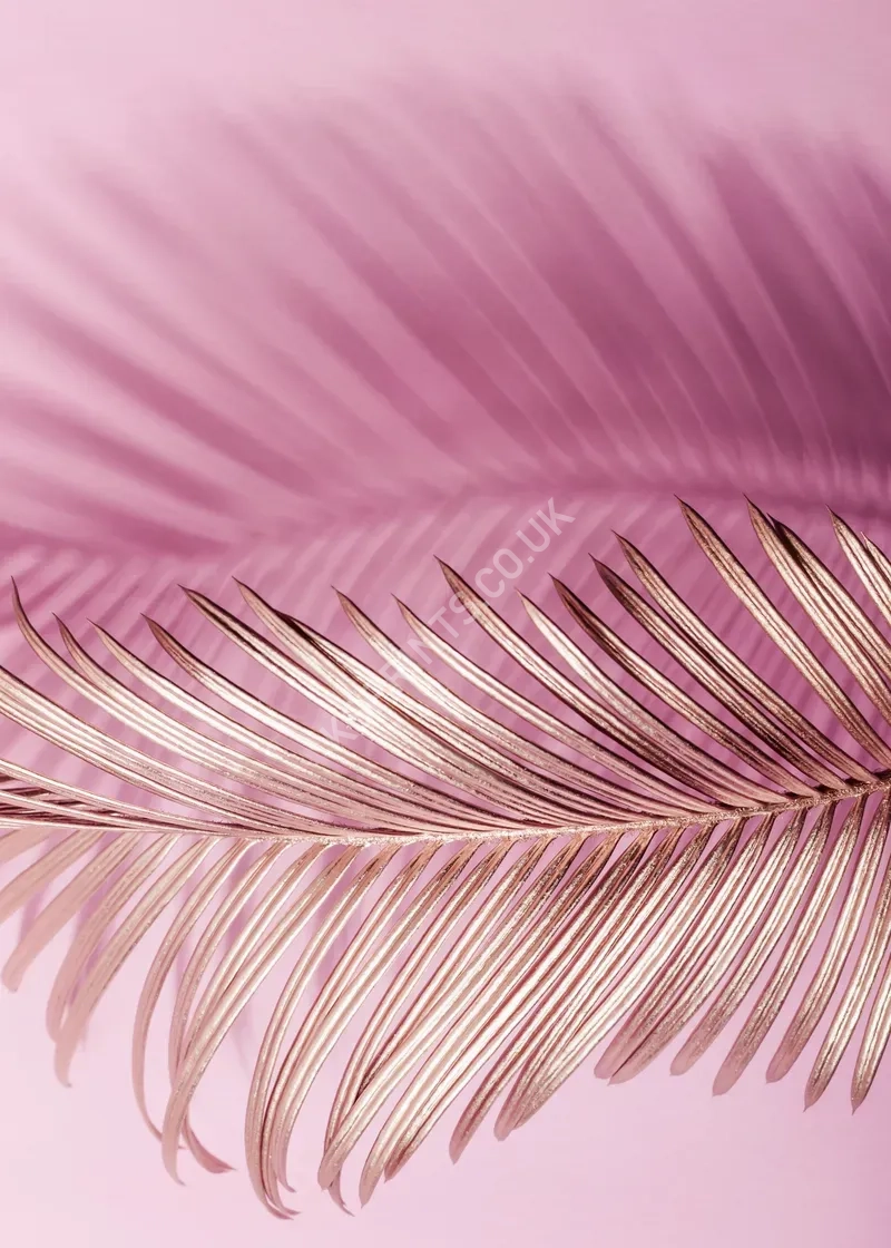 maximalist vol.2 thp2581.webp