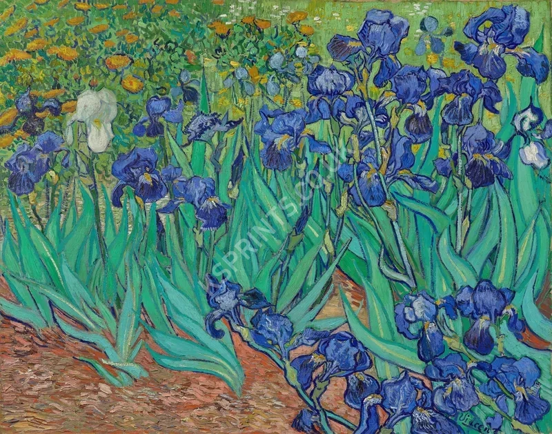 Vincent van Gogh3872.webp