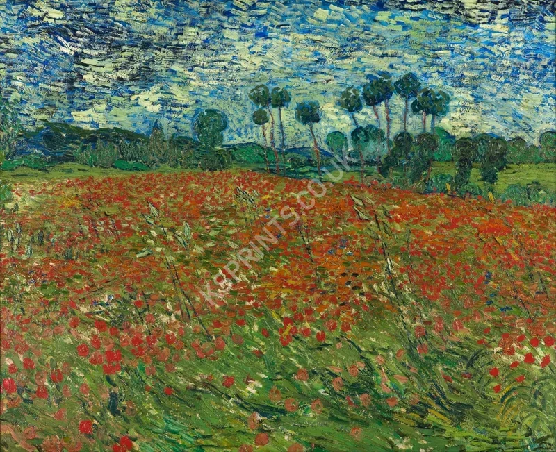 Vincent van Gogh3884.webp