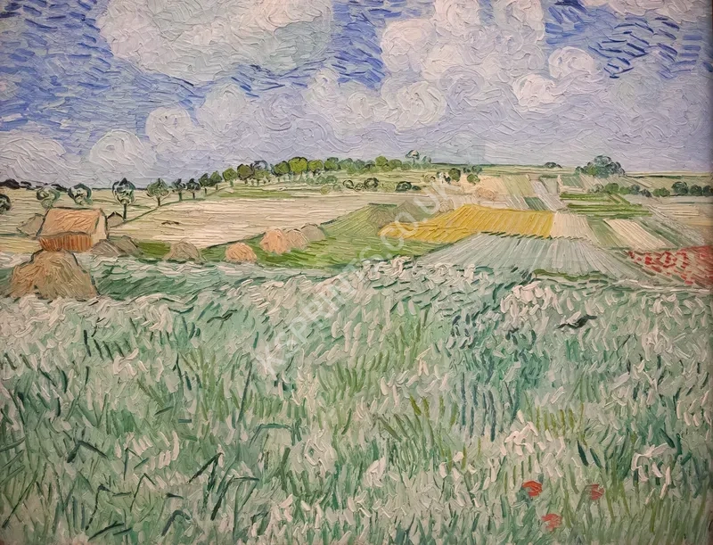 Vincent van Gogh3949.webp