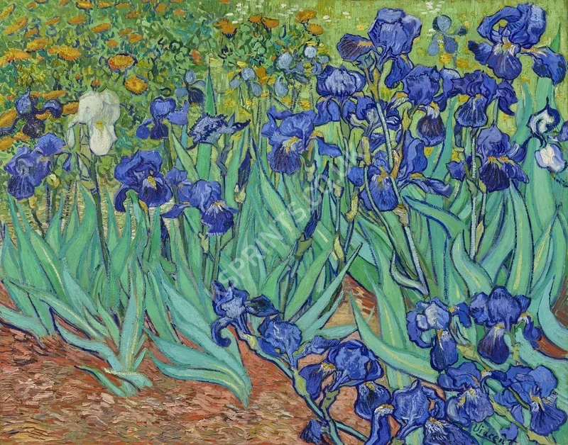 Vincent van Gogh4011.webp