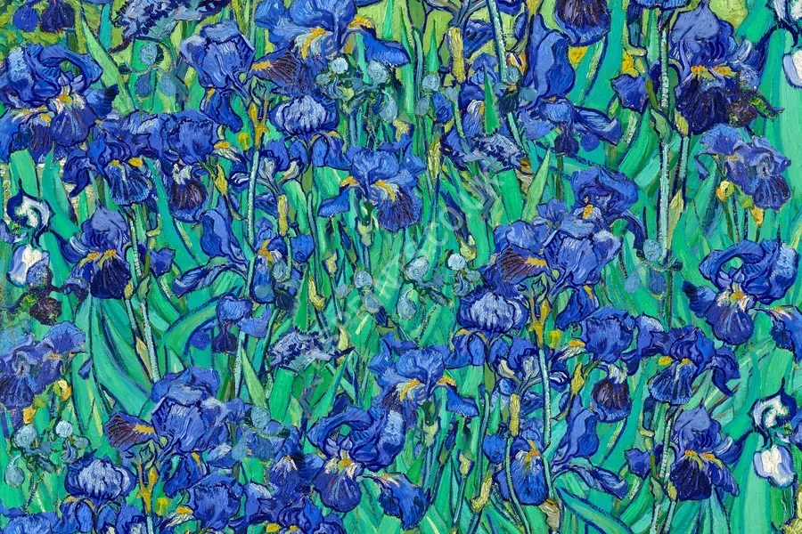 Vincent van Gogh4024.webp