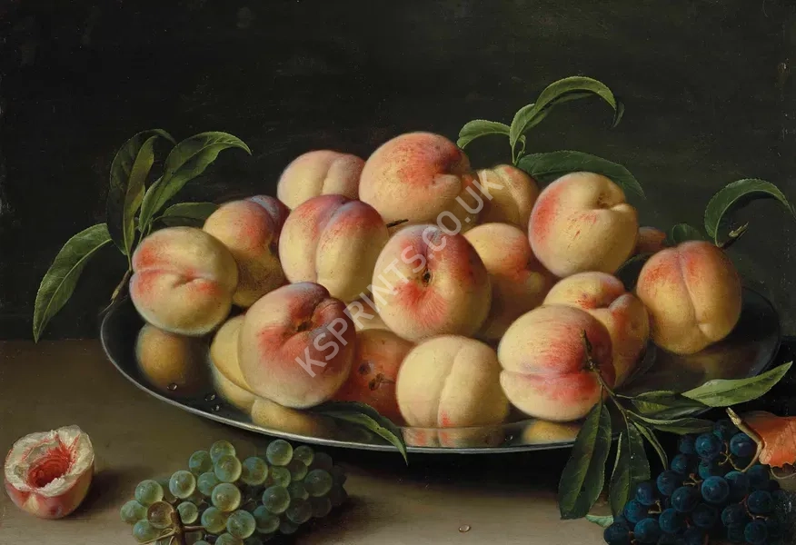 vintage summer4094.webp