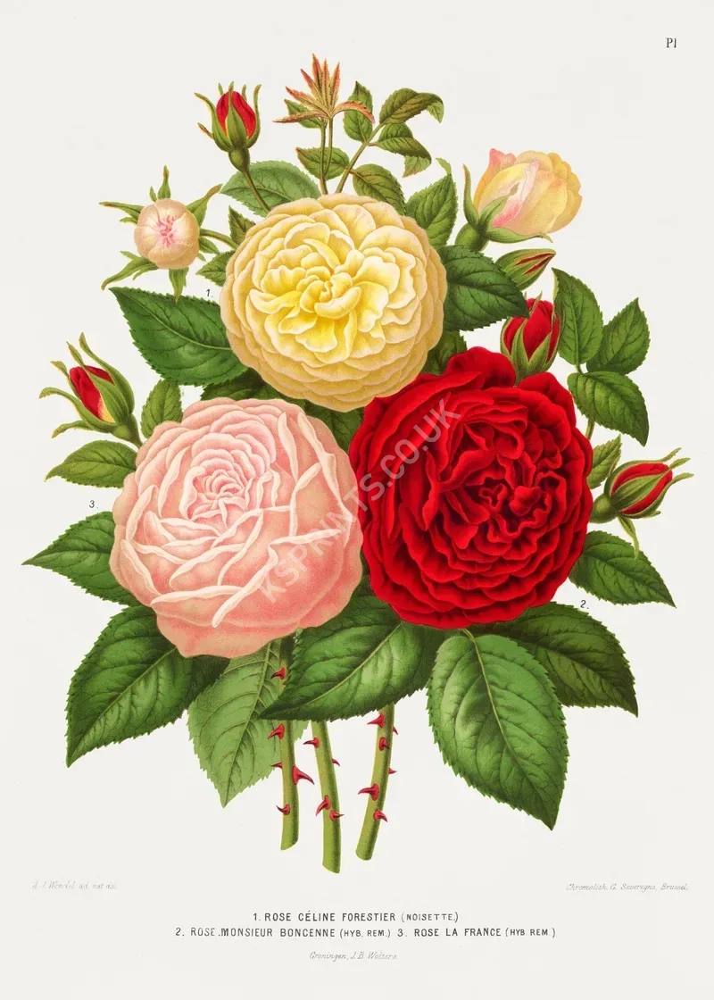 vintage summer4129.webp