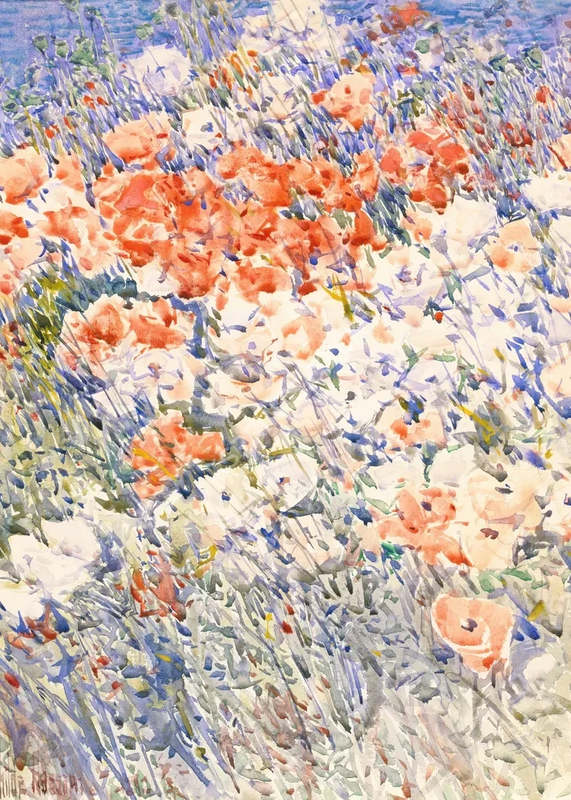 vintage summer4136.webp