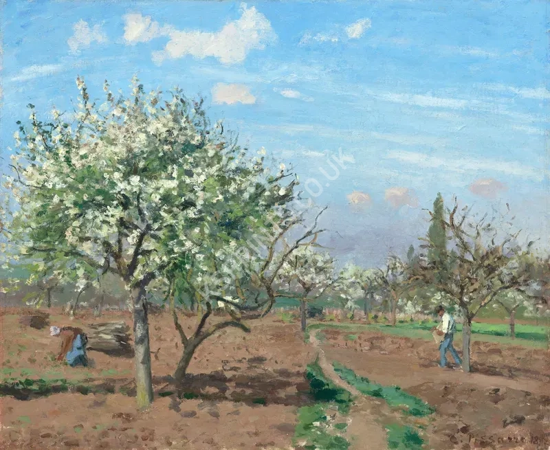 vintage summer4173.webp