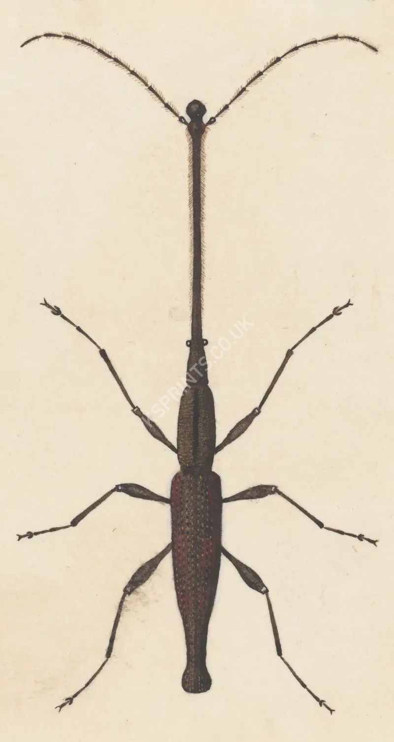 vintage summer4183.webp