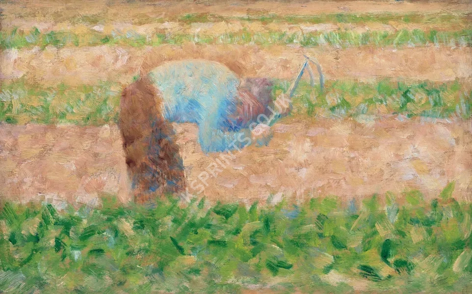 vintage summer4207.webp