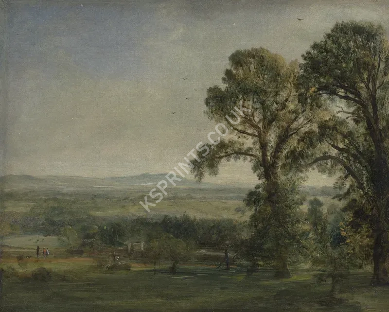 vintage summer4241.webp