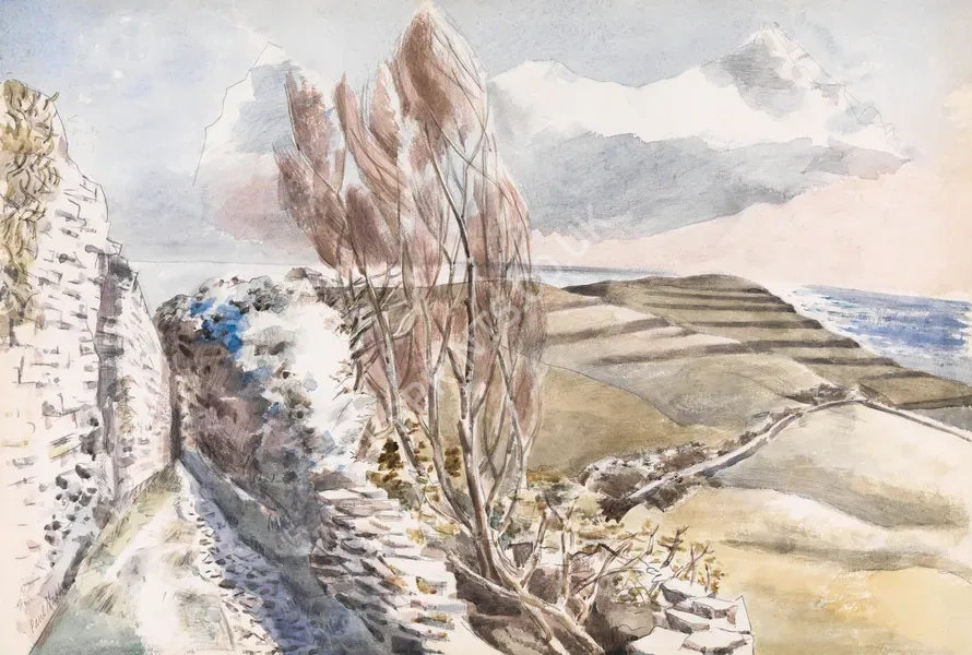 vintage summer4304.webp