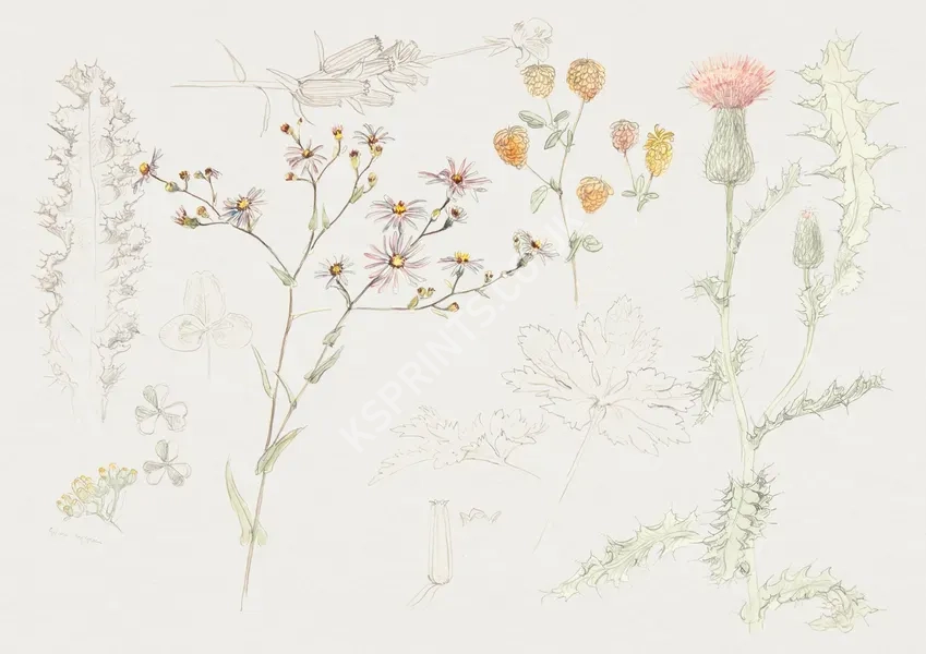 vintage summer4315.webp